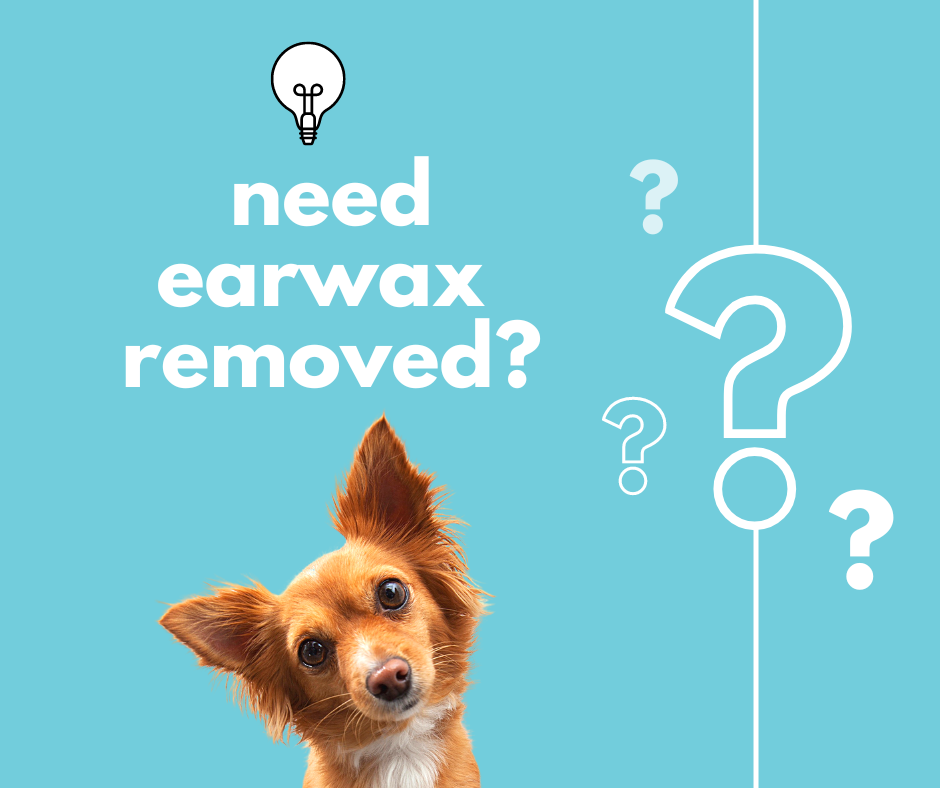 Dog tilting its head to the side with text displaying the message "need earwax removed?"